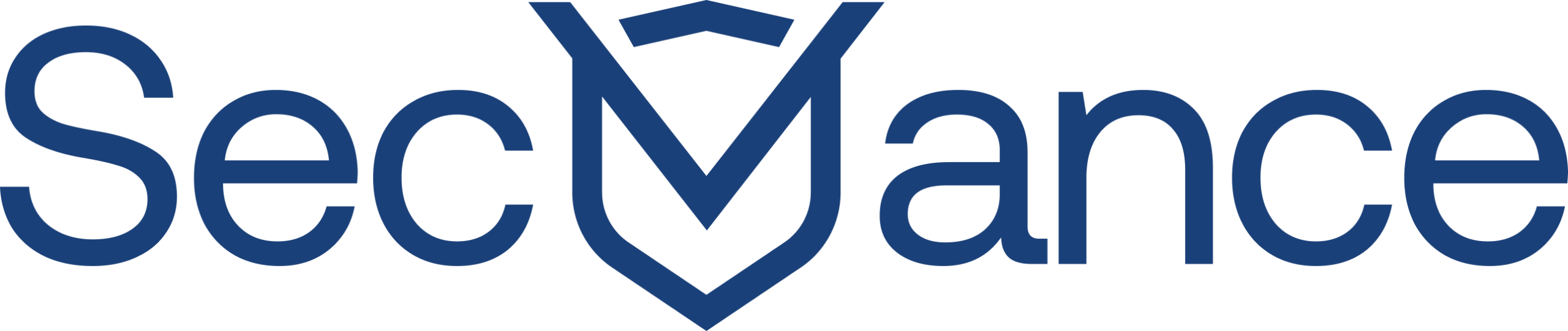 Virtual Security & Privacy Leadership